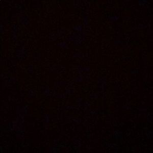 Meet your Posher, Joey